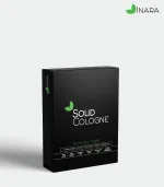 Enchanted Forest - Image 3